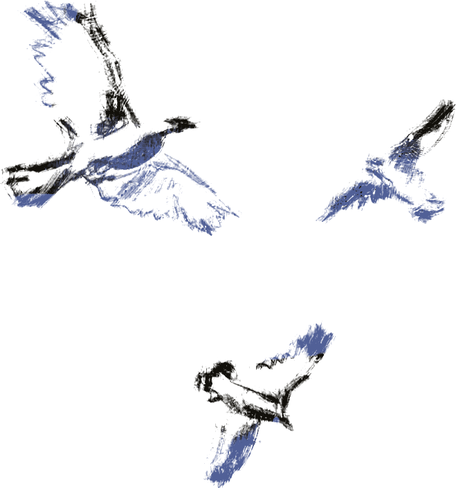 Dessin illustrant la couverture d'un livre des éditions du crabe